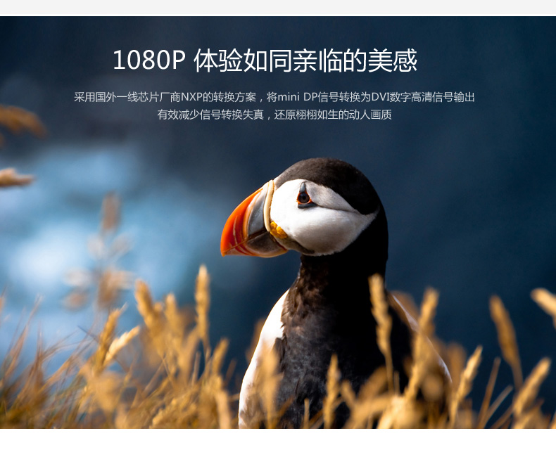 恒行6-品质新体验,数码选恒行6